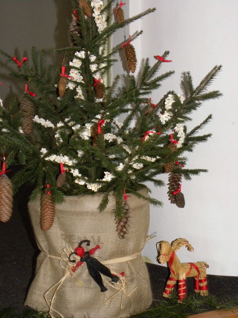 obrázek: Adventní zastavení v Rozsochatci