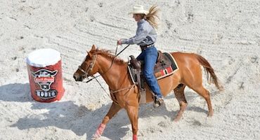 obrázek: Farmářské trhy a westernové závody v  Mitrovském dvoře