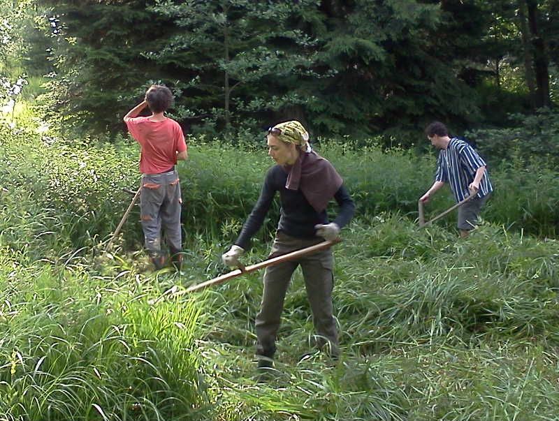 obrázek: Kosení rašelinné loučky na Mrzatci