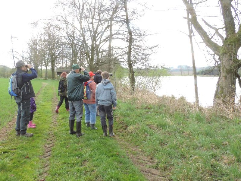 obrázek: Vítání ptačího zpěvu na Habersku