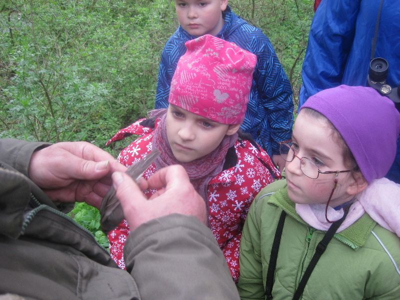 obrázek: Vítání ptačího zpěvu v Jihlavě se vydařilo