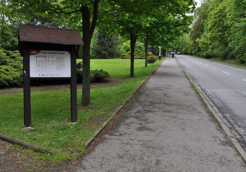 Přibyslav musí umístit 10000 sazenic stromků. Kam s nimy?