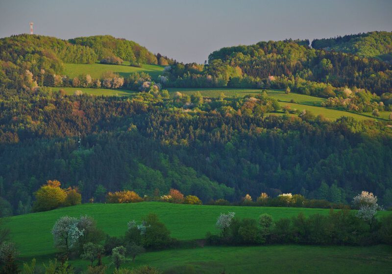 Vysočina ztratila 1 586 obyvatel