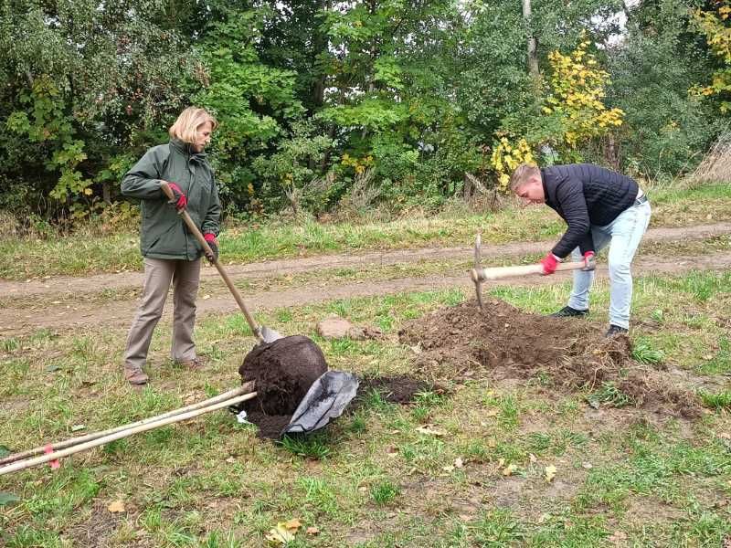 Třešňová stromořadí symbolizují spolupráci Kraje Vysočina a ELEKTROWINU