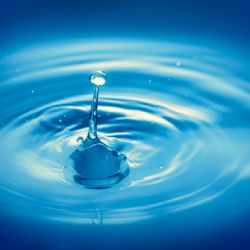 Biologické čištění odpadní vody