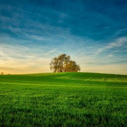 Zažijte jaro v online kasinu Casinia