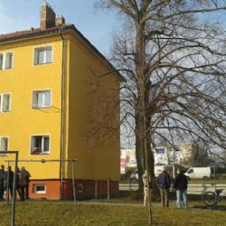 Arnika: Občané se zastali stromu, který zákon nechrání