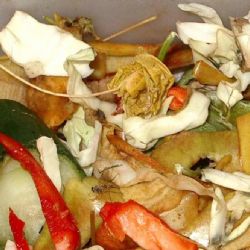 Bioodpad se bude třídit i na Slunci