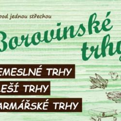 Borovina opět ožije trhy