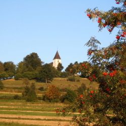 Borovská desítka 2014 o víkendu