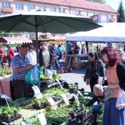 Brod se po dvaadvacáté promění v Zahradu
