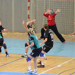 Brodské házenkářky vybojovaly postup do první ligy