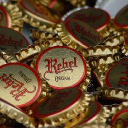 Brodský Rebel uspěl na Žatecké Dočesné