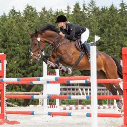 Červnové skokové závody v Bohuslavicích