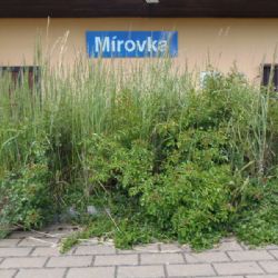 České dráhy nepečují o svůj majetek