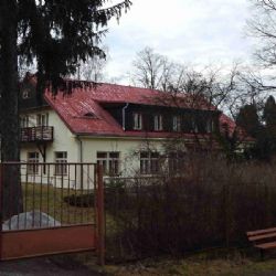 Den mezi stromy v Jihlavě