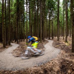 Den Sinlgetracku v Novém městě na Moravě