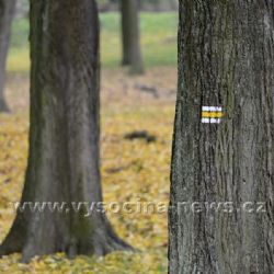 Den stromů s Václavem Větvičkou v Brodě