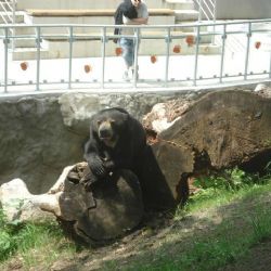 Den Země v jihlavské Zoo