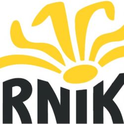 Dobrovolníci natřeli dvě stovky stromů v aleji u Švábova na Jihlavsku