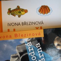 Dopoledne se spisovatelkou Ivonou Březinovou