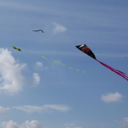 Draci na nebi na Jihlavou