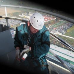 Dukovany se připravují na zahnízdění sokola stěhovavého