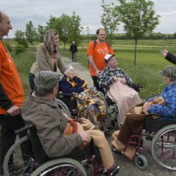 Energetici budou pomáhat v neziskových organizacích na Vysočině