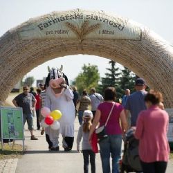 Farmářské slavnosti 2015 pokračují v Sasově u Jihlavy