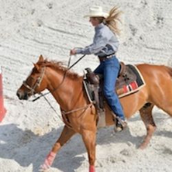 Farmářské trhy a westernové závody v  Mitrovském dvoře