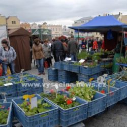 Farmářské trhy Koudelův talíř představí regionální farmáře