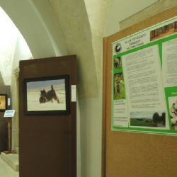 Fotovýstava na jihlavské radnici