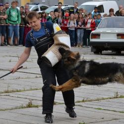 Hasiči, zdravotníci a policisté se představili v Kamenici nad Lipou