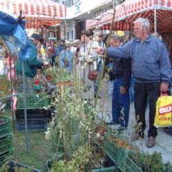 Havlíčkův Brod ovládnou o víkendu zahrádkáři a pěstitelé