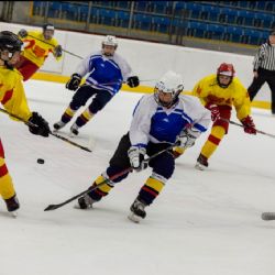 Hokejisté Kraje Vysočina budou hrát o medaile