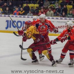 Hokejisté z Vysočiny v první lize úspěšní