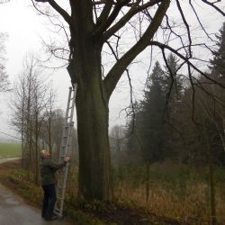 Houby rostou na Vysočině stále