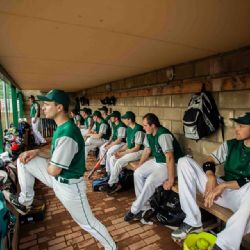 Hroši vstoupili do ligových bojů