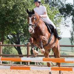 Humpolec hostil Skokový pohár Vysočiny