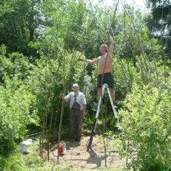 Jak postavit stavení z vrbového proutí naučí v Cejli