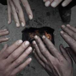 Jak vypadá domov, ukáží v Pelhřimově