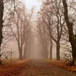 Jan Slovák představí v Novém Městě na Moravě své fotografie