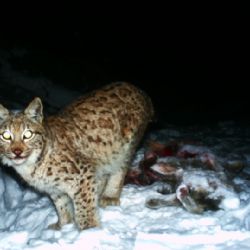 Jan Svatoš představí svůj nový dokument