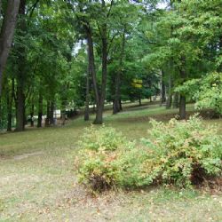 Jazzový koncert v Brodě