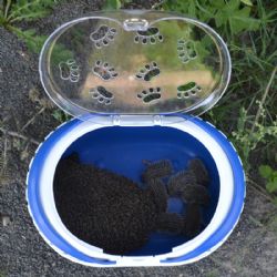 Ježčí samice si v Dukovanech vybrala špatné místo pro svá mláďata