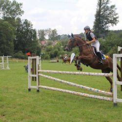 Jezdecká sezona v Brodě v plném proudu