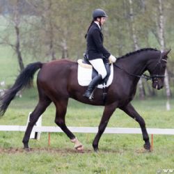 Jezdecké závody o víkendu v Humpolci