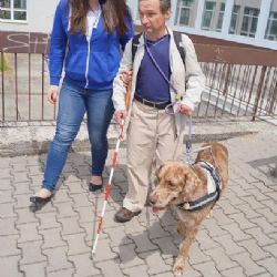 Jihlavští studenti si ověřovali teoretické zkušenosti v praxi