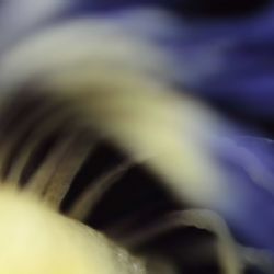 Jiné taje fotografie (z)jiného světa v Novém Městě