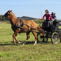Jubilejní Chovatelský den ve Vilémově